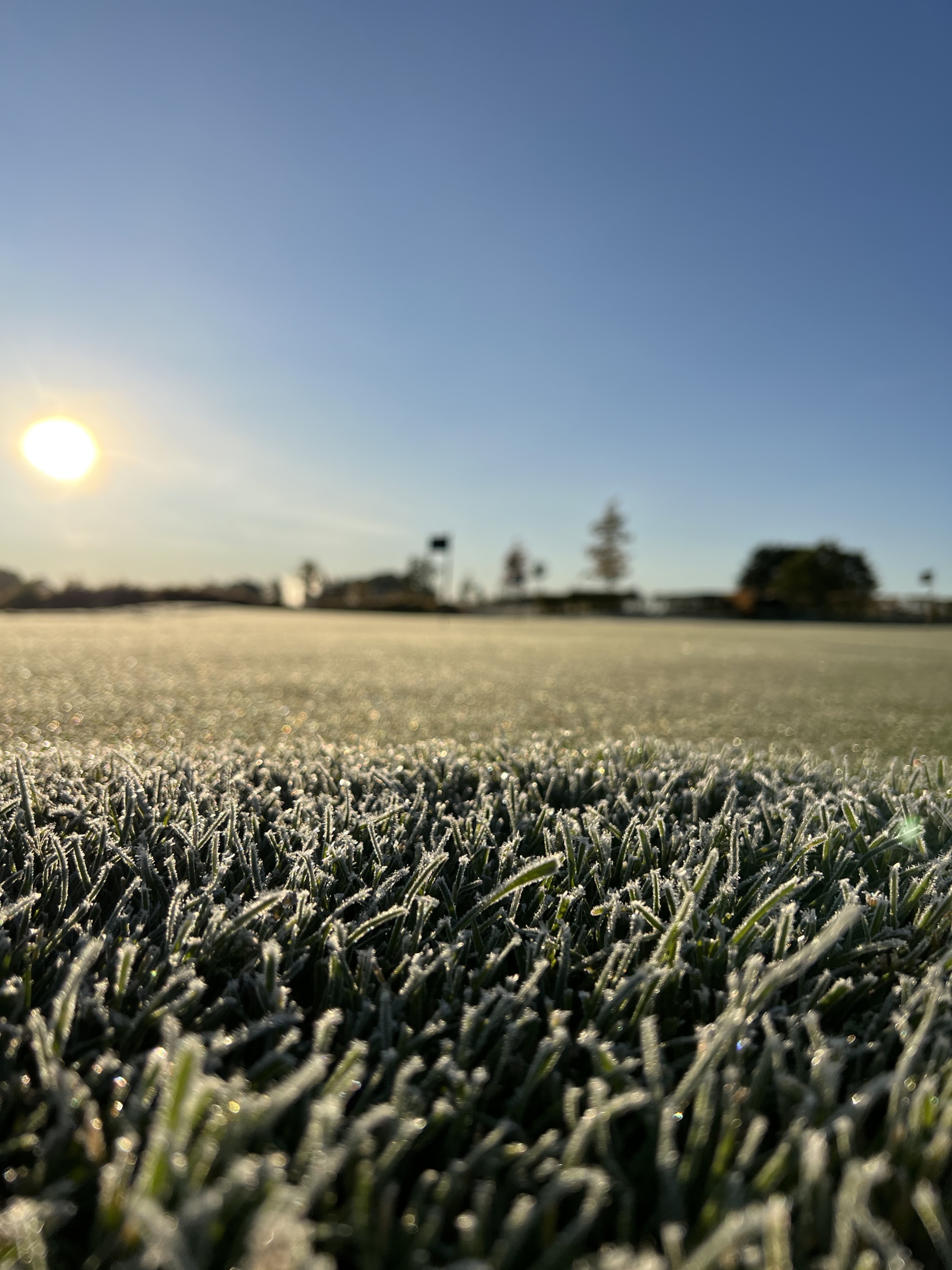 Frost